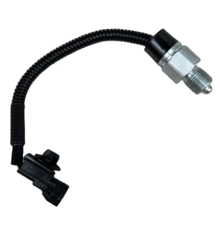 BACK-UP SWITCH